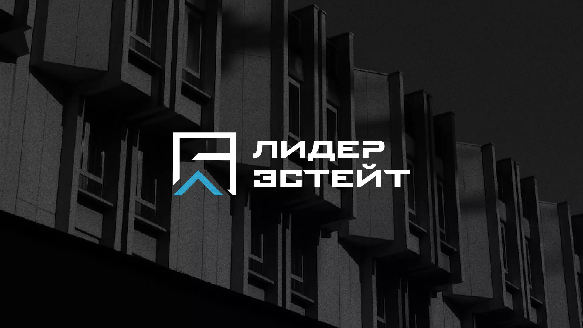 Разработка логотипа агентства недвижимости «Лидер Эстейт» в Ковдоре